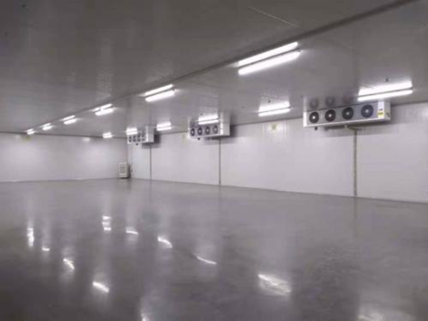 建設1500㎡食品速凍低溫庫優勢及應用有哪些？